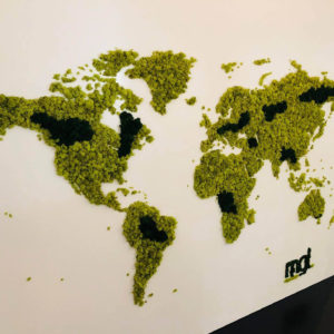 Map monde en lichen stabilisé