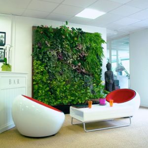 Mur_vegetal_interieur-987×1024