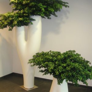 bacs-a-plantes-design_16_l