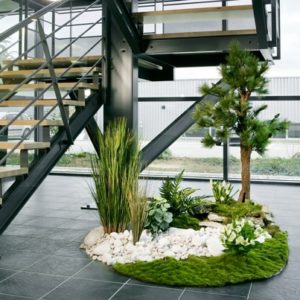 jardins-intérieur-home-vegetal-2-595×403