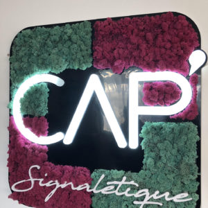 Logo végétal : Cap’Signalétique